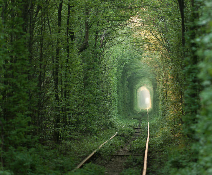 Le tunnel de l’amour de Klevan (Ukraine)