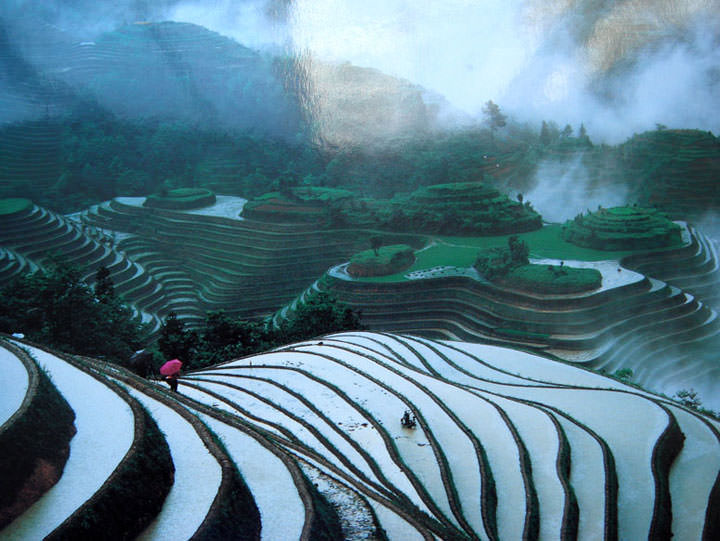 Les rizières de Longji (Chine)