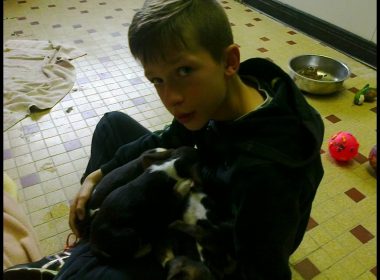 Un garçon de 11 ans n’hésite pas à se jeter à l’eau pour sauver 2 chiots de la noyade