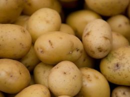 La méthode « tout » patate