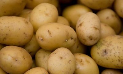 La méthode « tout » patate